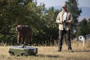 Robo-grizzly, bear spray lessons and more at Missoula 'Bear Aware' event