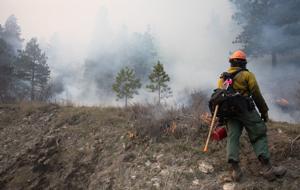 Several weeks of planned prescribed burns in Helena area set to start Wednesday