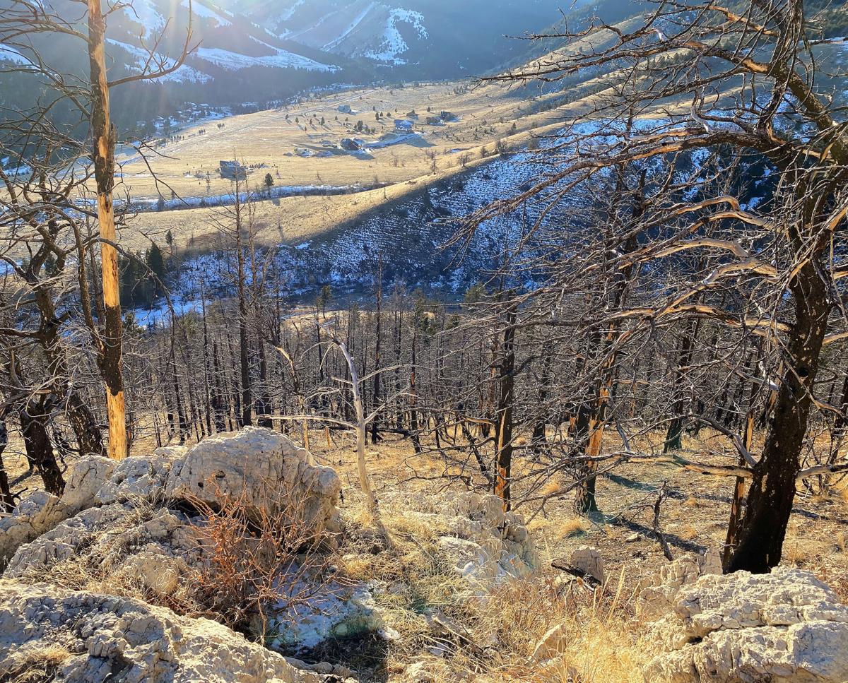 West Fork Rock Creek