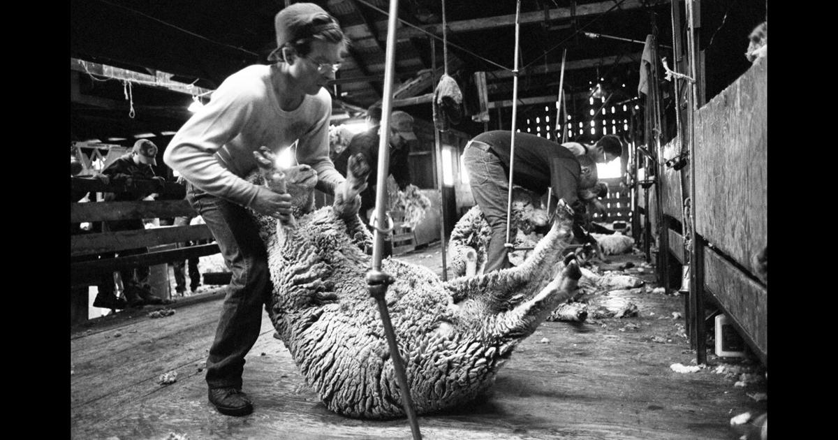 Things to do in Missoula: Montana rock 'n' roll and livestock photography