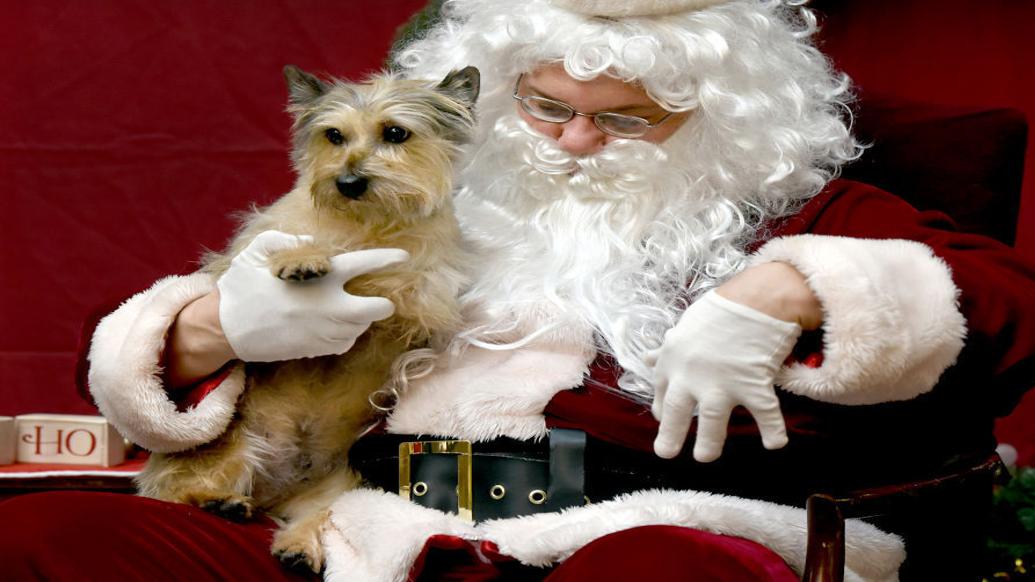 Christmas Eve Events Missoula 2022 A Guide To Holiday Happenings In Missoula | Local News | Missoulian.com