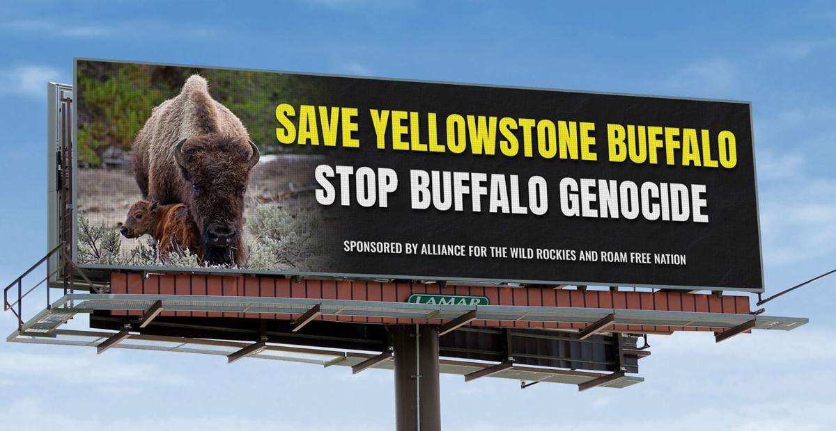 Steve Kelly: Buffalo genocide, or how history rhymes its repetitions