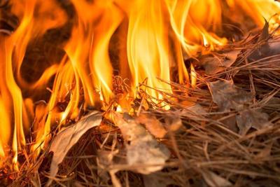 Stage II fire restrictions lifted (copy)