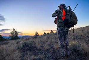 Southwest Montana hunting forecast: Elk numbers strong, more pronghorn, deer vary by area