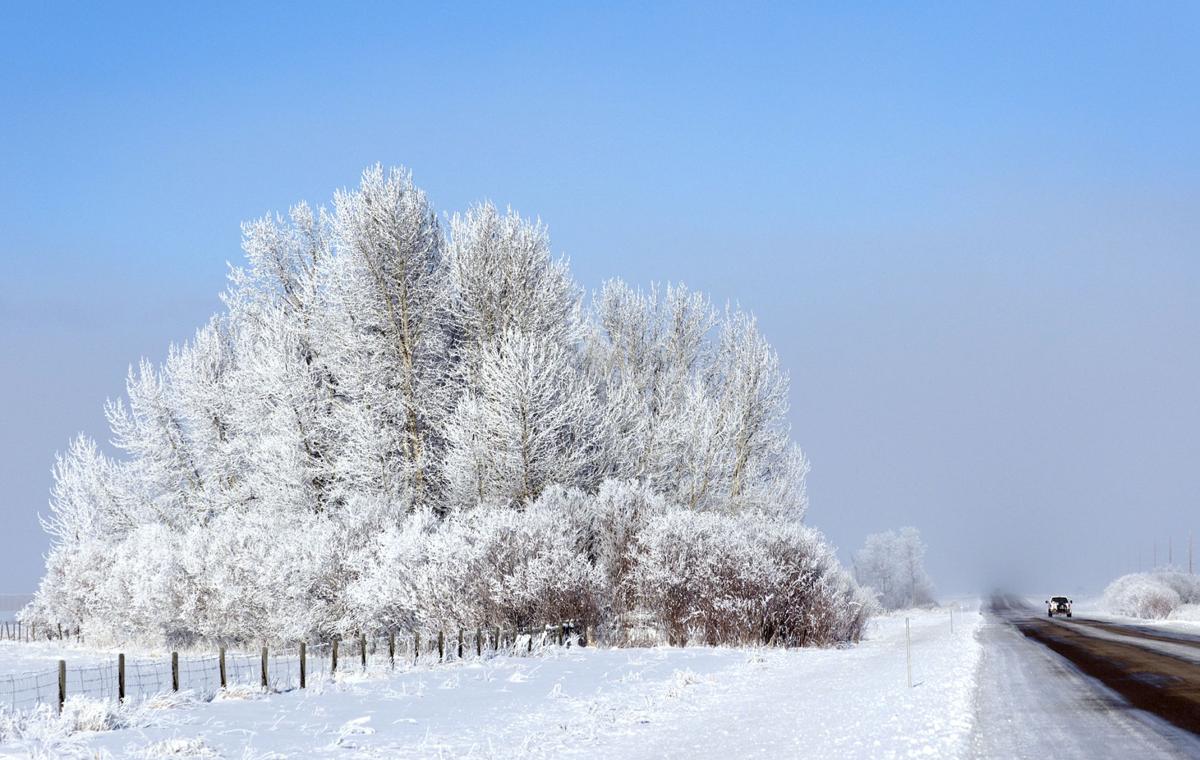 Much Of The U S Is Frozen From An Arctic Blast Meanwhile