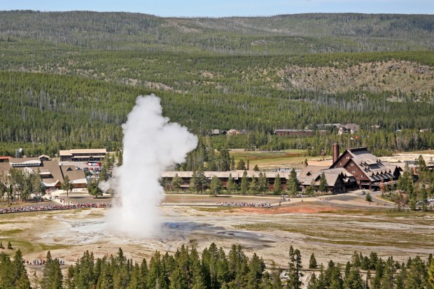 Old Faithful erupts under blue skies