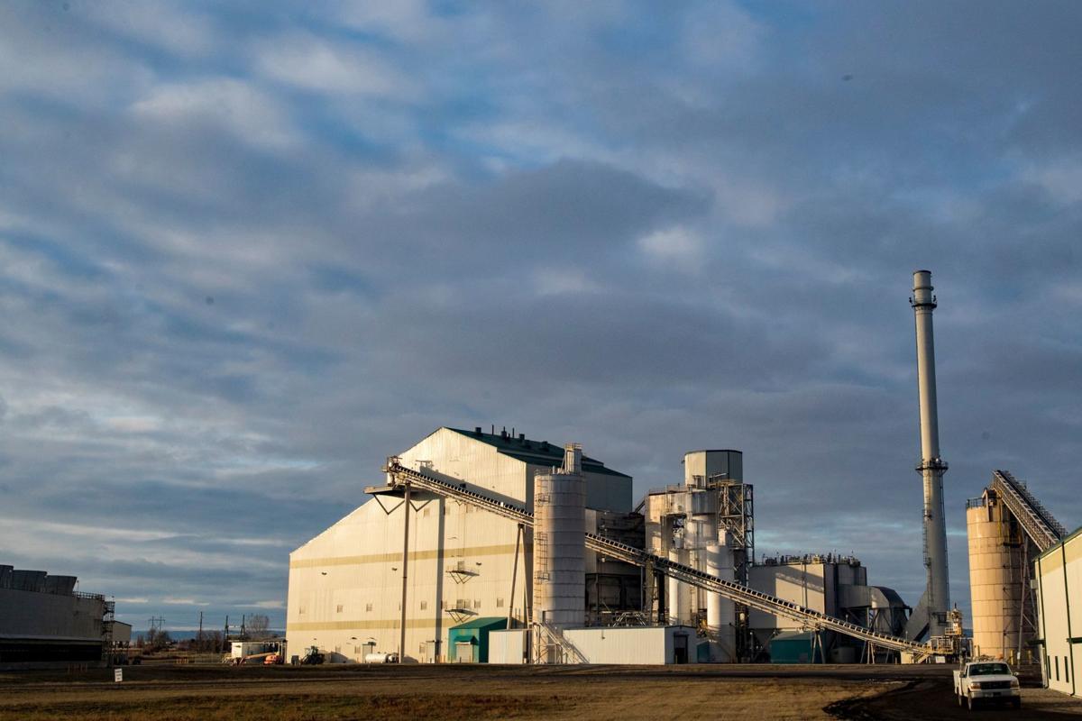Hardin Generating Station