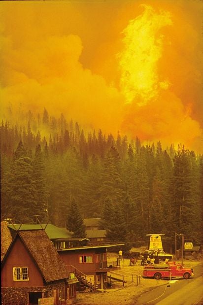 25 years later, Yellowstone reflects change wrought by 1988 fires  State & Regional 