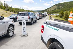 Yellowstone visitation declines in June compared to last year