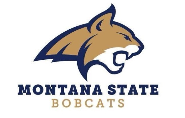 montana state logo bobcats clipart basketball university grizzlies logos wildcat bobcat clip football team msu bozeman always looks old college