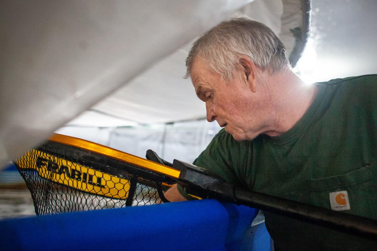 Montana Man Starts Indoor Shrimp Farm Using Giant Walmart Swimming