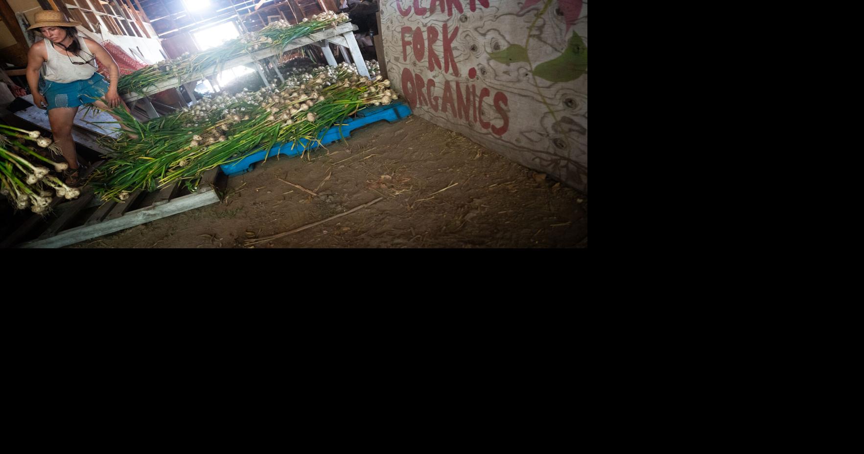 Clark Fork Organics10.jpg