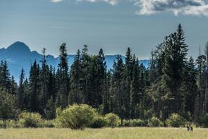 Conservation milestone: Montana Land Reliance reaches 1.5 million-acre mark