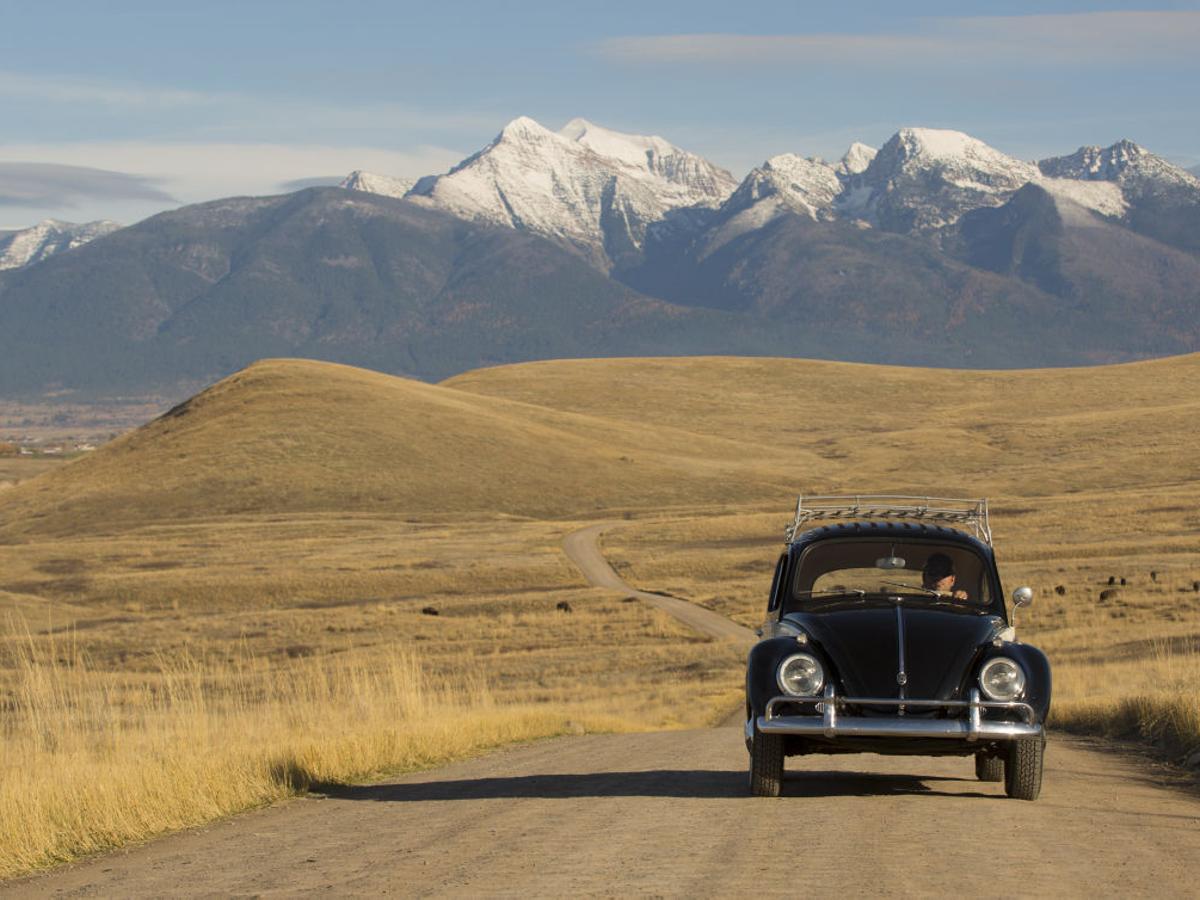 The Bug Documentary Delves Into Timeless Appeal Of The People S Car Arts Theatre Missoulian Com