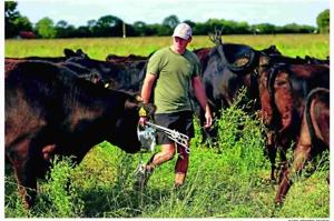 BUILDING FOOD RESILIENCE