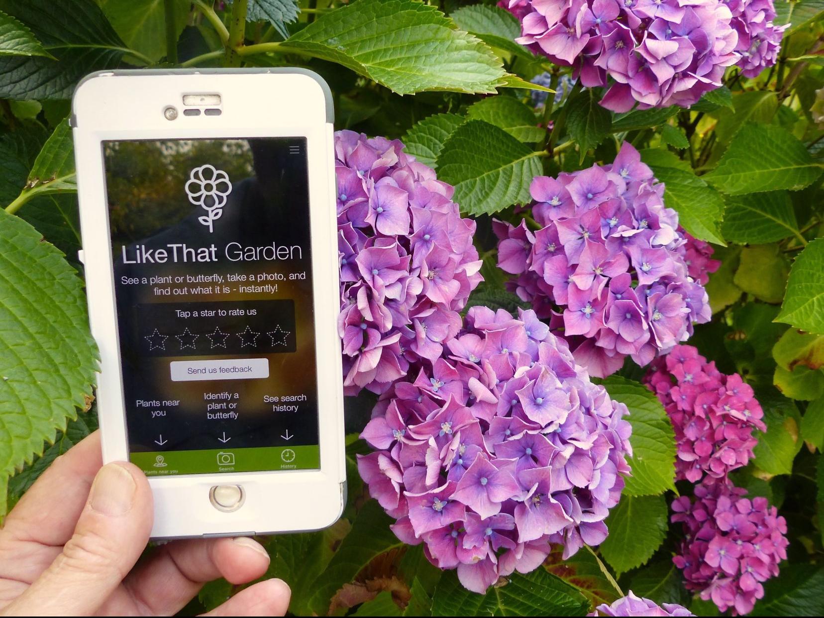 Top Gardening Apps Tested And Recommended By The Experts Home And Garden Missoulian Com