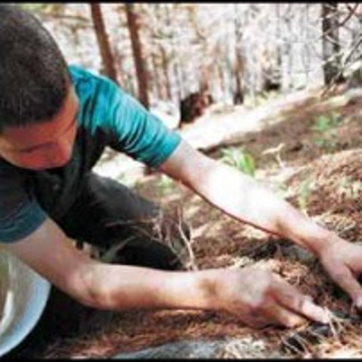 Sunday July 1 2001 Peter Twardoski Jarrett Troy Plunkett Patricia A Purchio Elsie Marie Curry Albert Carroll Earl Andrew Andy Mills Della Mongar Carlene Margaret Wozniak Frye Uncategorized Missoulian Com