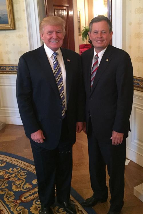 Trump, Daines