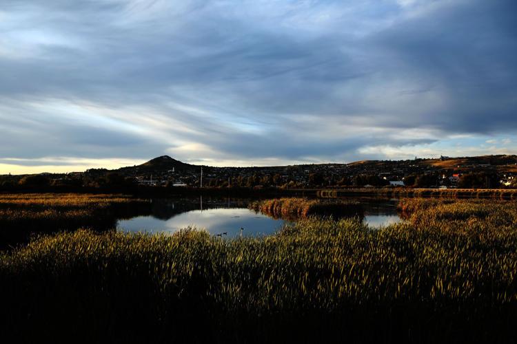 Butte's wetlands