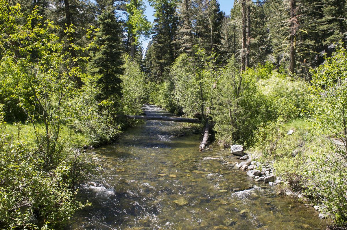 Escape to Copper Creek: Montana's Hidden Gem for Outdoor Adventures