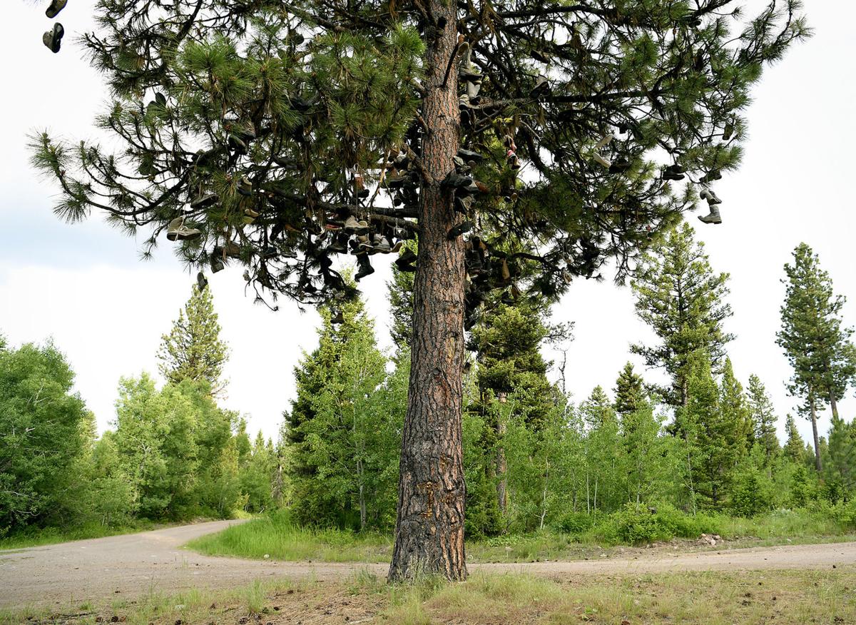 Ovando's Boot Tree spurs the imagination Local News