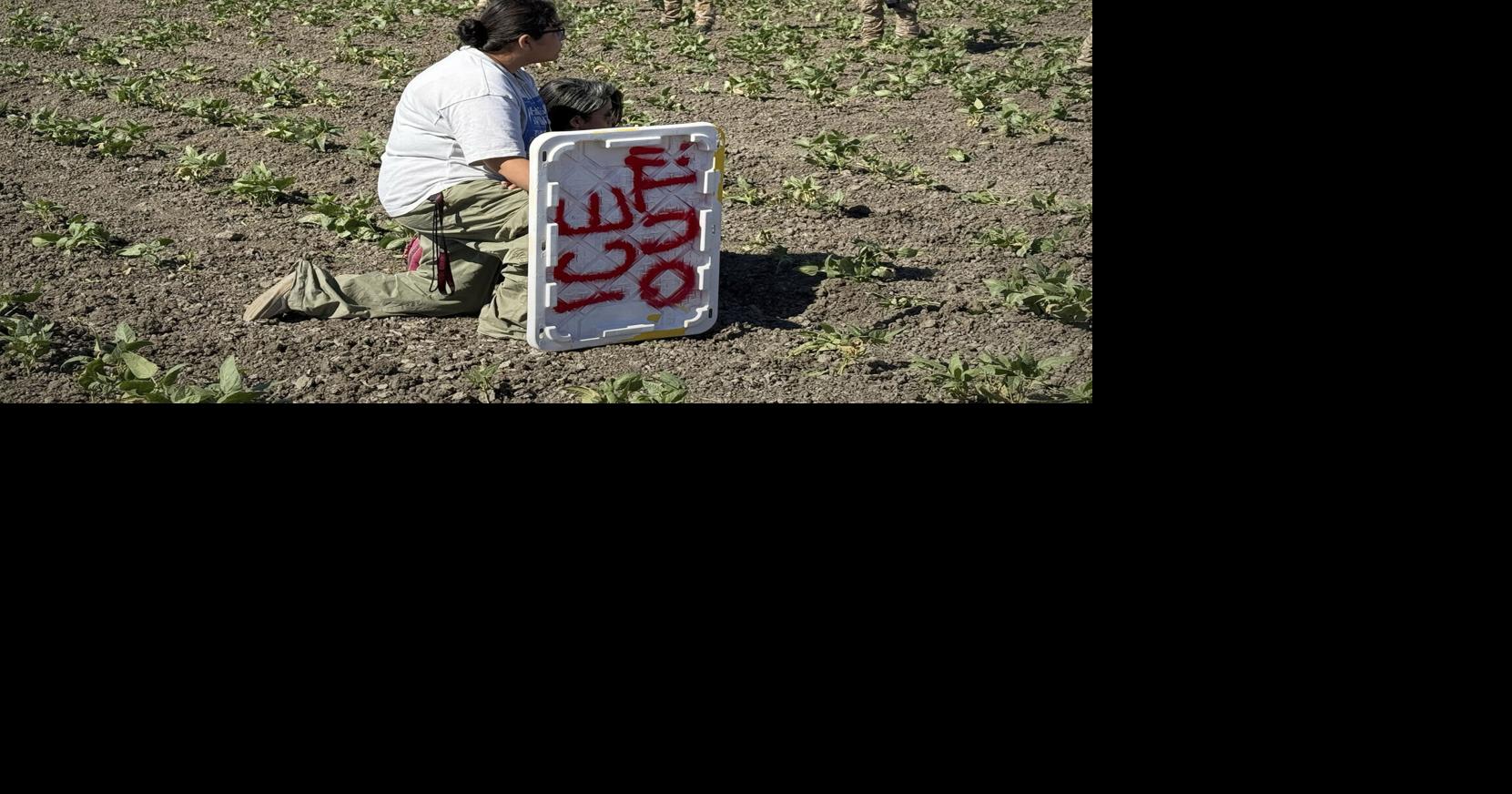 Labor Day Immigrant Labor