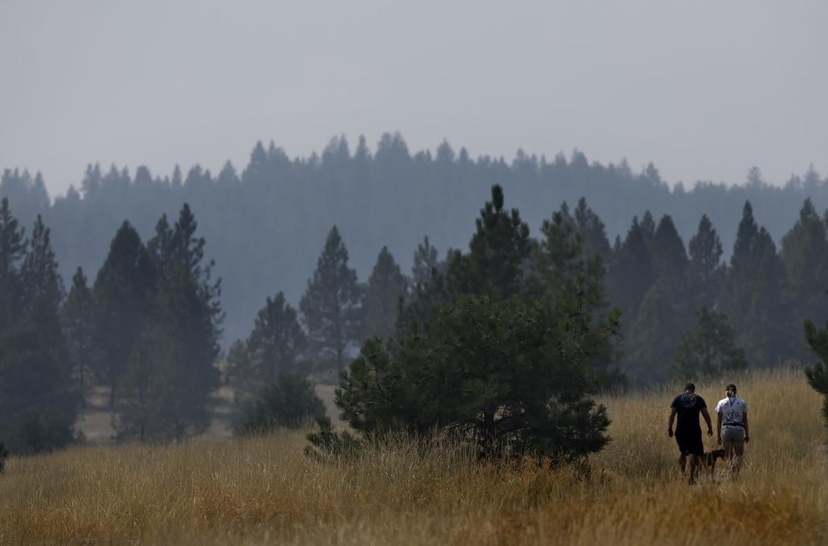 Air quality alert issued for all of Montana due to wildfire smoke