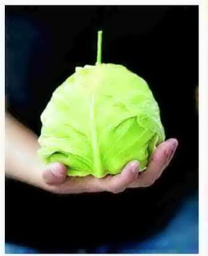 Fruitful endeavor