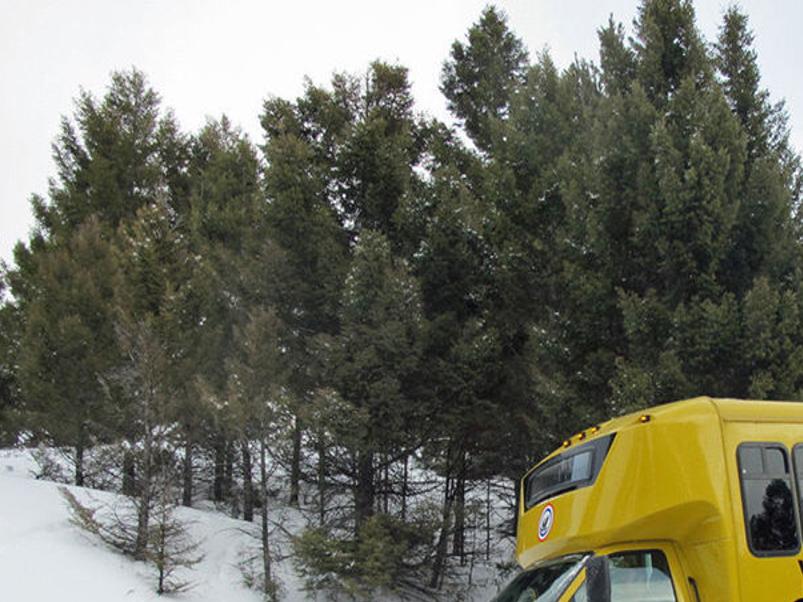Yellowstone National Park Opens Roads For Winter Travel State