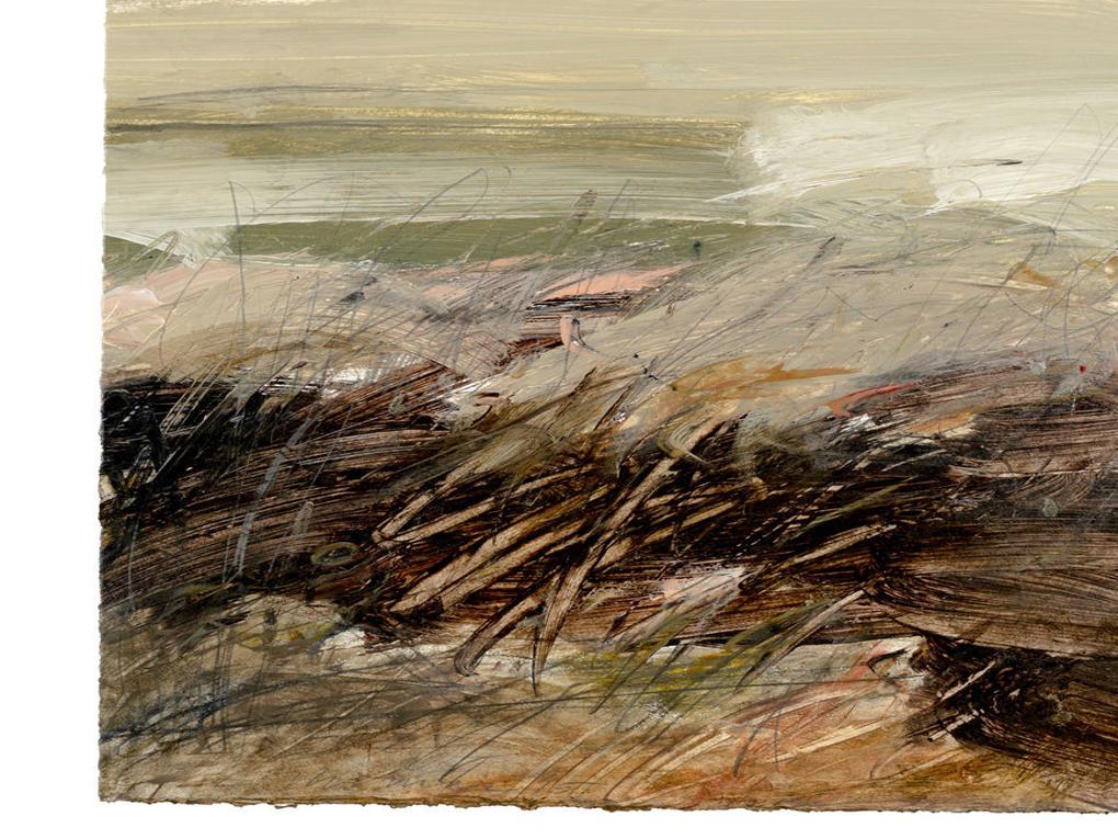Larry Thomas Abstract Renditions Of California Coast Arts