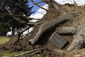 Gusts reach 74 mph during Butte windstorm; some damage reported at cemetery