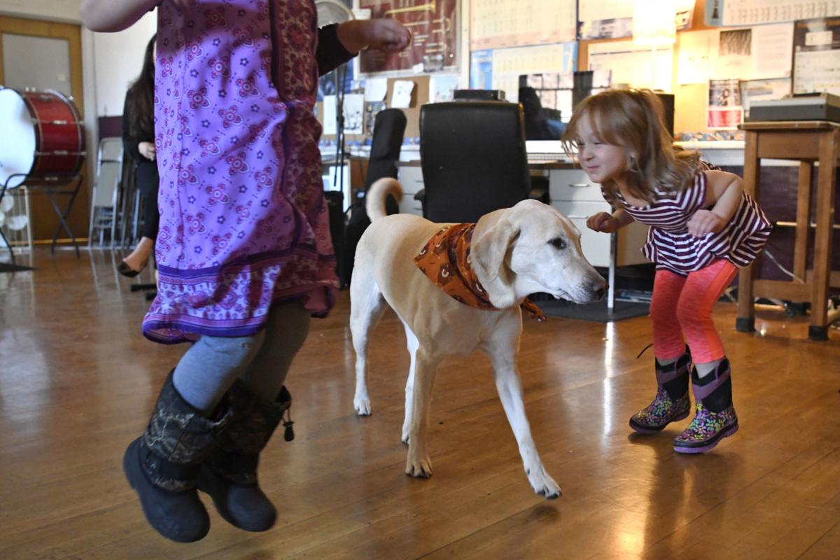 Sunny The Therapy Dog Brightens Up Alberton School District Local
