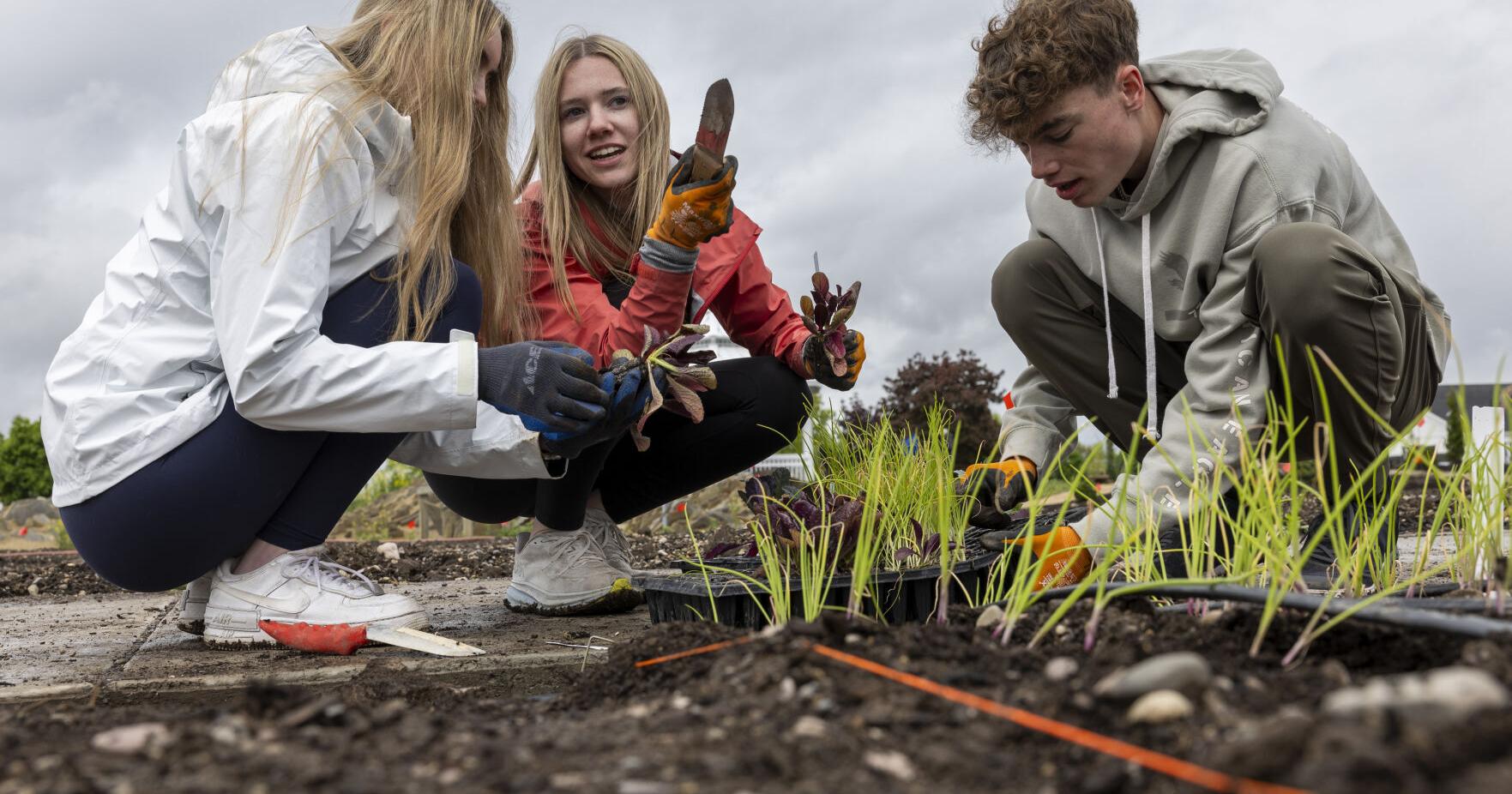 Missoula fairgrounds get garden love from Sentinel students - Vimarsana News