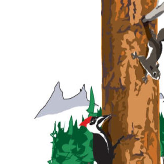 Summer Camps Abound Around Western Montana Outdoors Missoulian Com