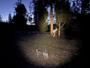 'Tonight the horses sleep standing up': Lessons from five nights deep in the Absaroka-Beartooth Wilderness
