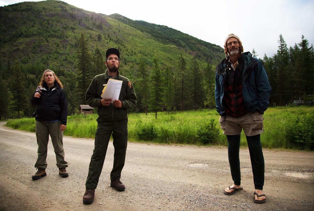 Witches Butter Fairy Barf And Conks Glacier Park Updates