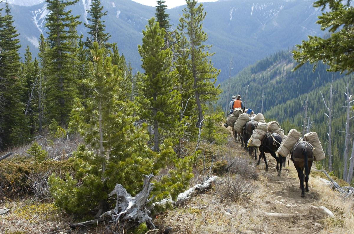 Outfitter in the Bob Marshall Wilderness