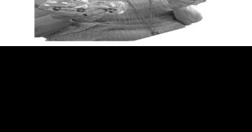 Kathleen Ruth Milam Carman