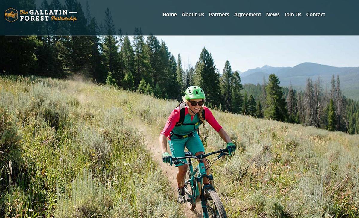 Gallatin Forest Partnership