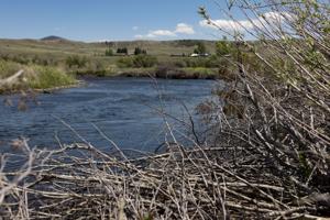 EPA to sample for 'persistent chemicals' on Clark Fork, Blackfoot, Bitterroot rivers