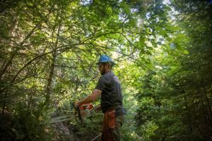 Northern Rockies Trail Project takes on trail work in North Idaho forests