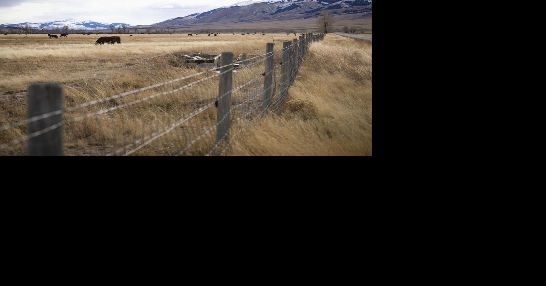 The Beaverhead Ranch