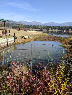 Missoula County commissioners approve removal of 'water driveway' in Seeley Lake