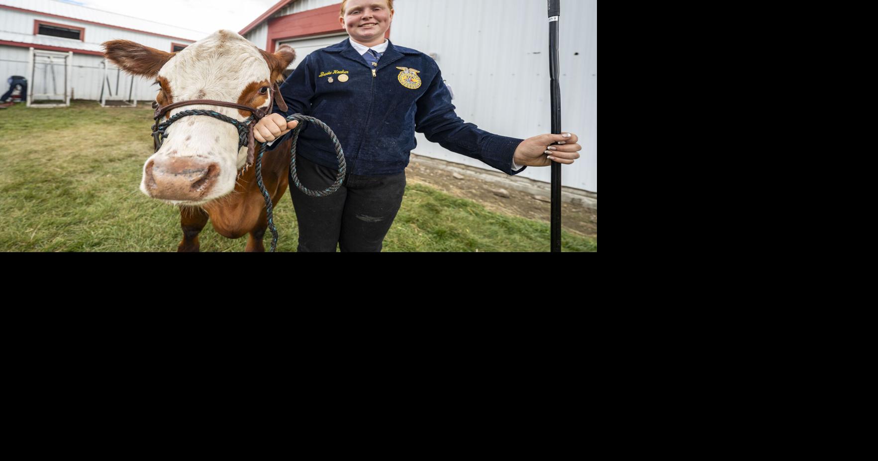 'It's just fun': Local kids show steers at the Ravalli County Fair