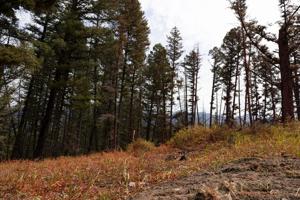 Fundraisers set to help rebuild Maverick Mountain ski area