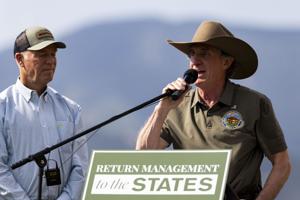 Alberta calls on hunters to kill some conflict grizzly bears. What are Montana's plans?