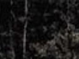 Trail Of Wonders Bear Creek S Boulders Waterfalls And Wildlife Offer Plenty Of Fun For Young Ones Outdoors Missoulian Com