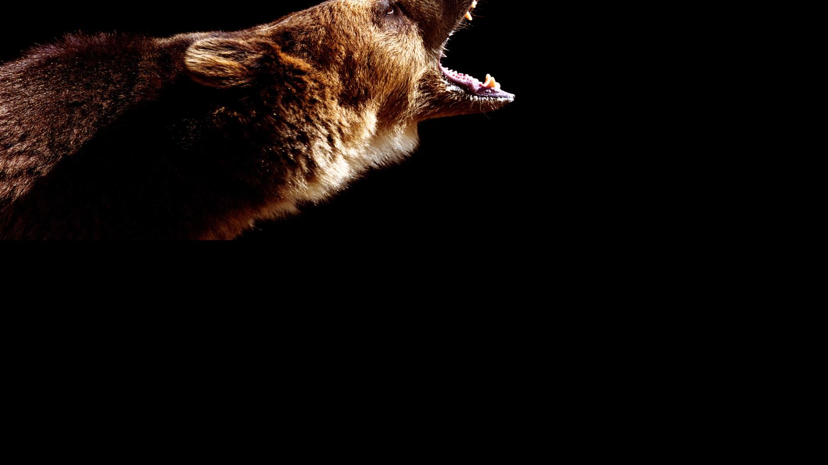 Most dangerous animals in Montana State & Regional