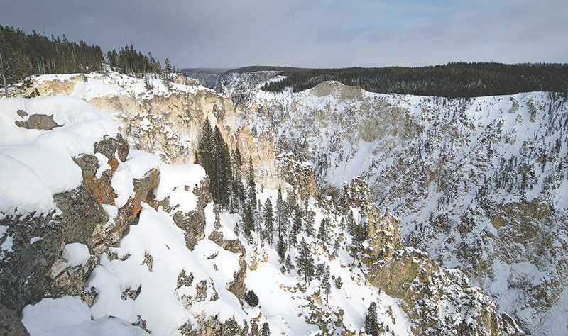 Yellowstone