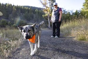 Helena's High Peaks K9 aims to get your dog Montana-adventure ready